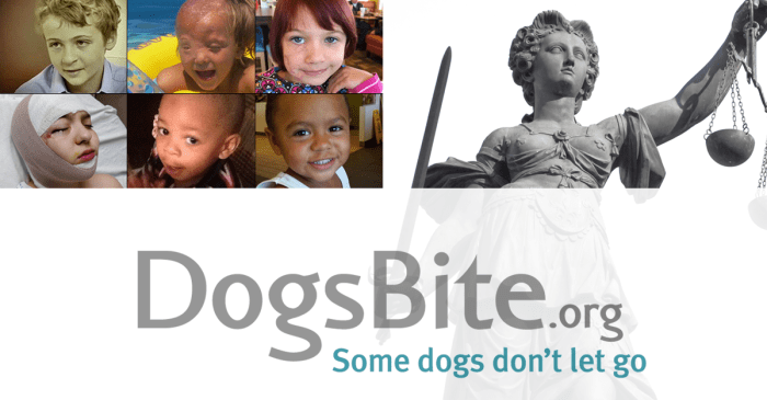 Dog bite attorneys irvine