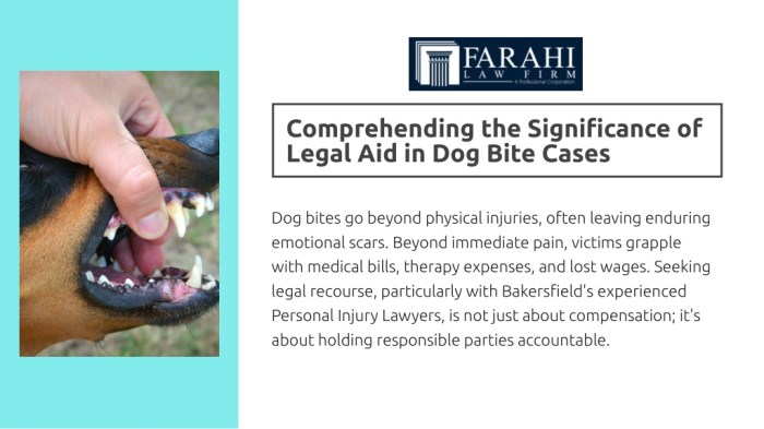 Bakersfield dog bite attorneys