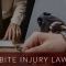 Irvine Dog Bite Attorney Legal Help for Victims