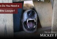 Dog bite attorneys bakersfield