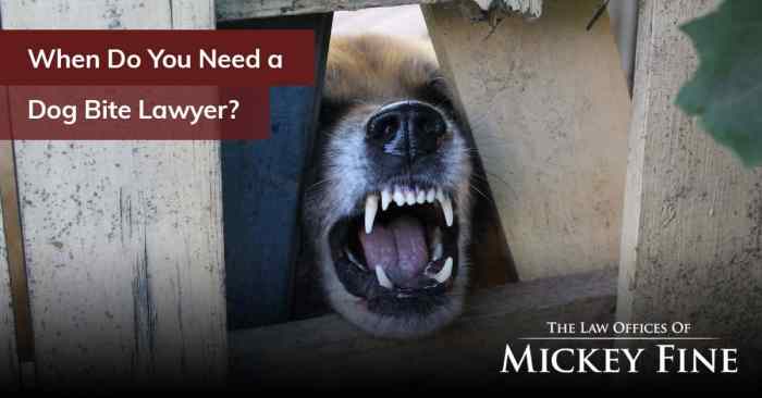 Dog bite attorneys bakersfield