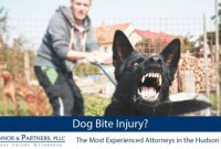 Oxnard dog bite attorney